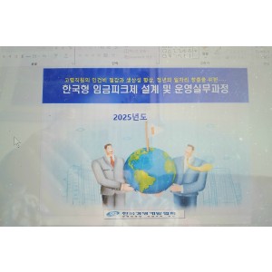 한국형 임금피크제의 설계 및 운영실무(5/12))