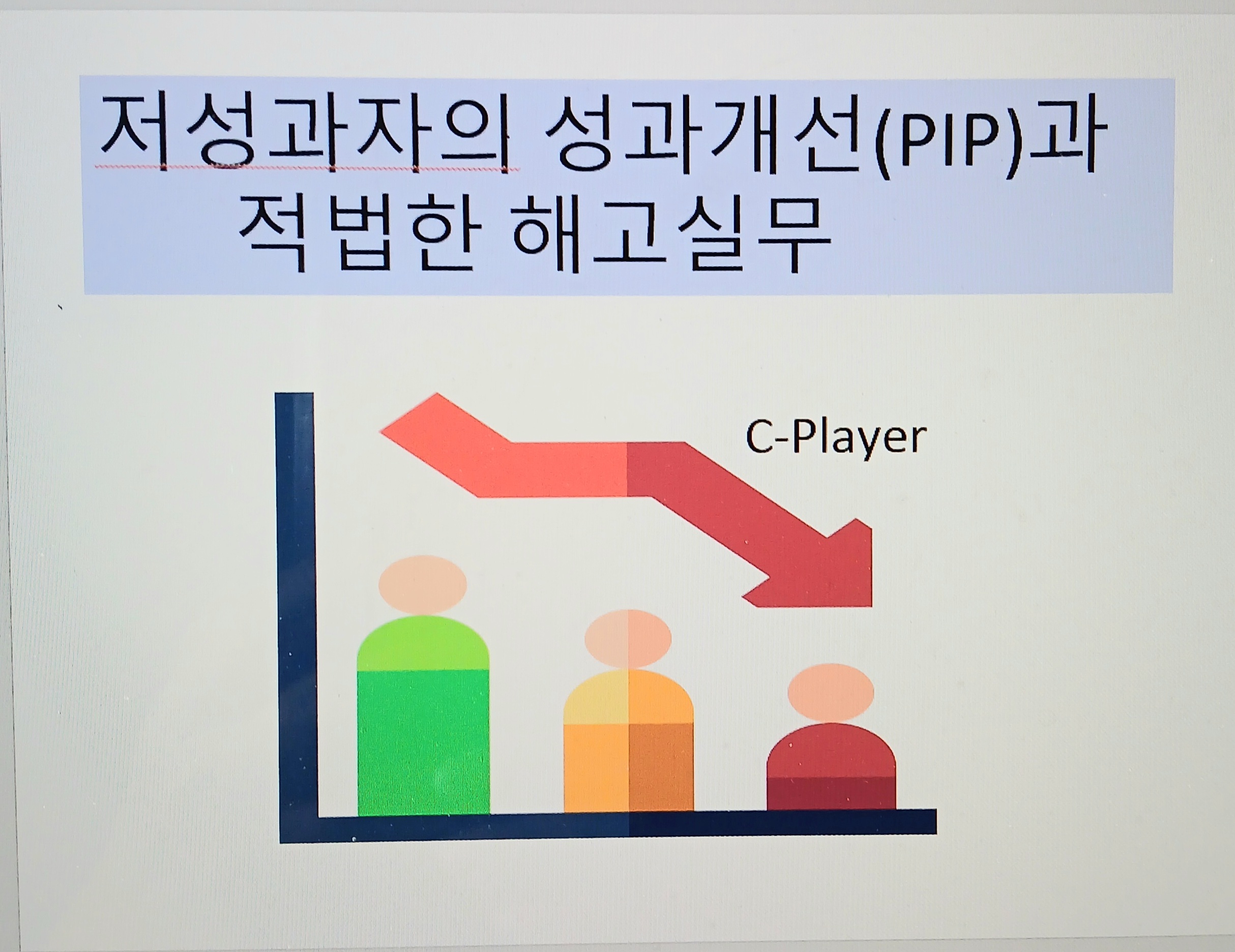 저성과자의 성과개선(PIP) 및 적법한 해고방안실무(6.17)