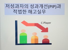 저성과자의 성과개선(PIP) 및 적법한 해고방안실무(6.17)