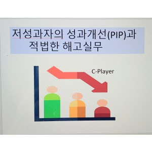 저성과자의 성과개선(PIP) 및 적법한 해고방안실무(6.17)